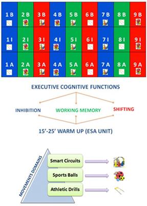 The Effect of an Enriched Sport Program on Children’s Executive Functions: The ESA Program